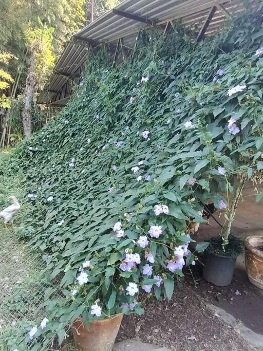 Sitio Paraiso Verde Juquitiba Zewnętrze zdjęcie