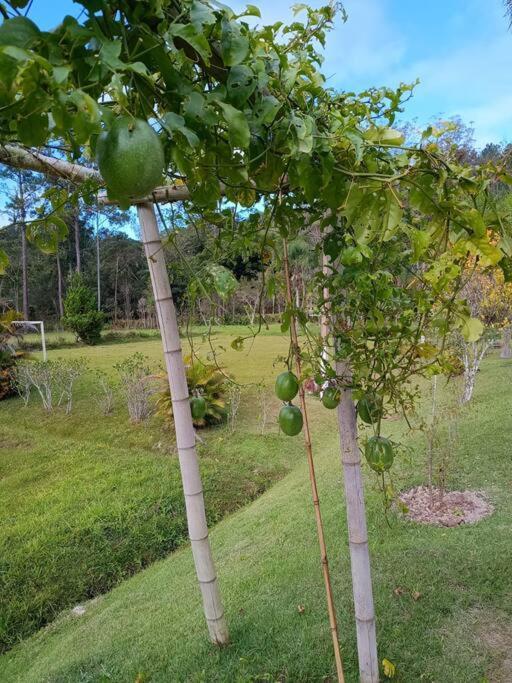 Sitio Paraiso Verde Juquitiba Zewnętrze zdjęcie