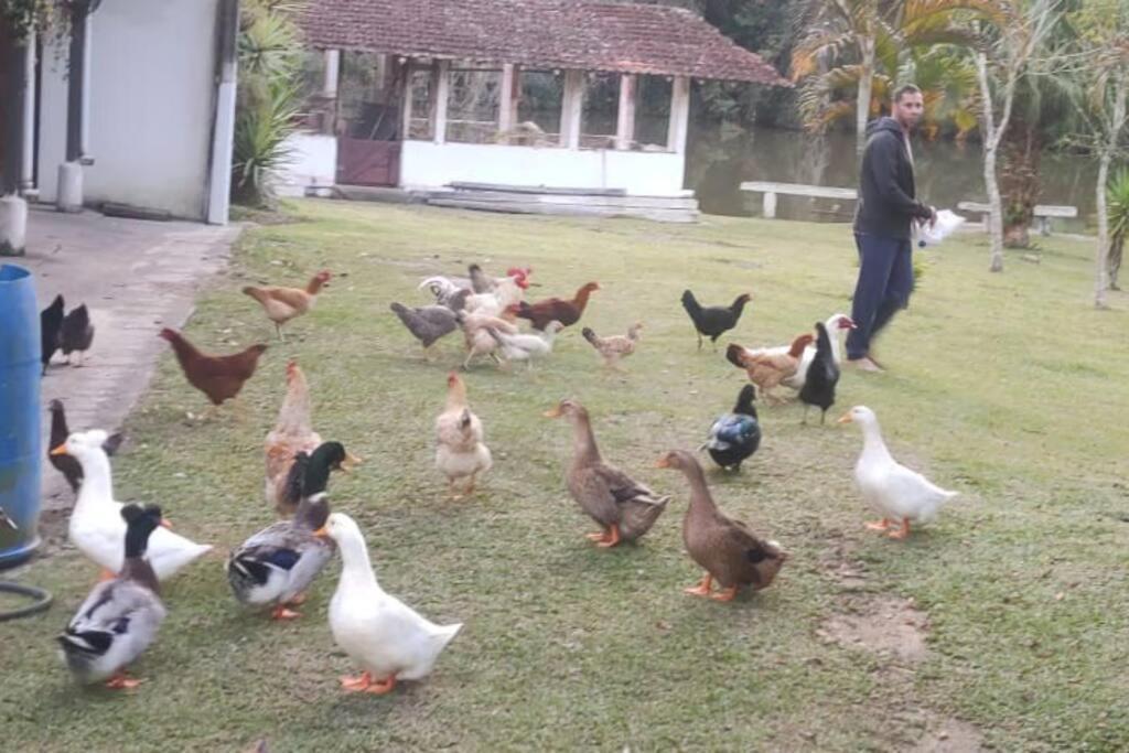 Sitio Paraiso Verde Juquitiba Zewnętrze zdjęcie