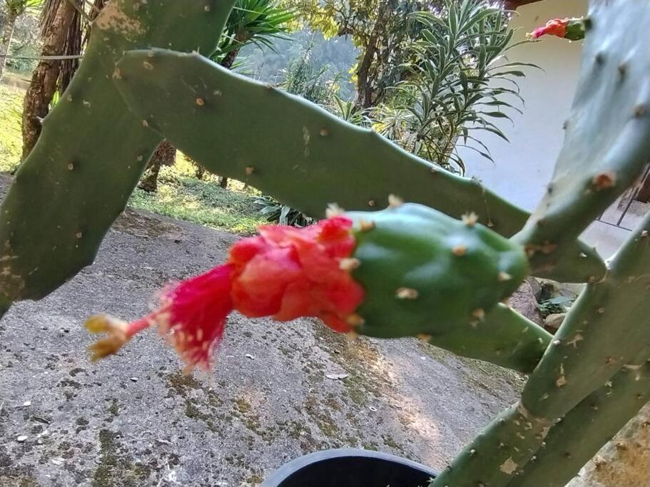 Sitio Paraiso Verde Juquitiba Zewnętrze zdjęcie