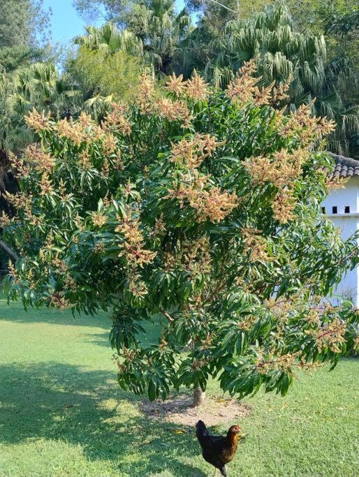 Sitio Paraiso Verde Juquitiba Zewnętrze zdjęcie