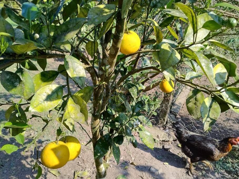 Sitio Paraiso Verde Juquitiba Zewnętrze zdjęcie