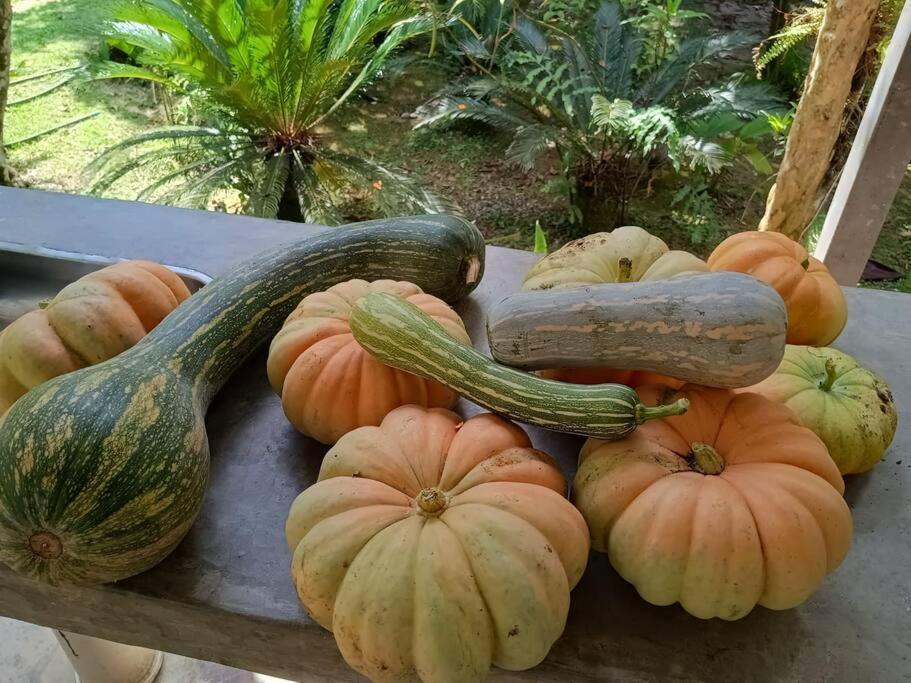 Sitio Paraiso Verde Juquitiba Zewnętrze zdjęcie
